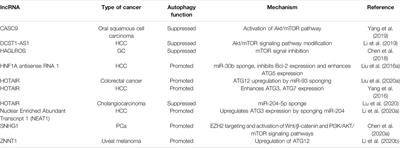 The Role of Non-Coding RNAs in Autophagy During Carcinogenesis